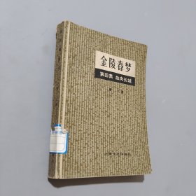 金陵春梦第四集血肉长城