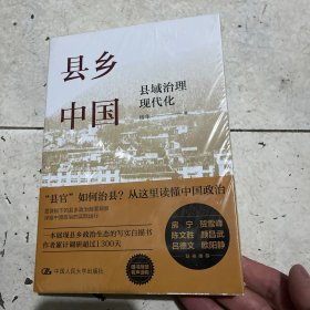 县乡中国：县域治理现代化