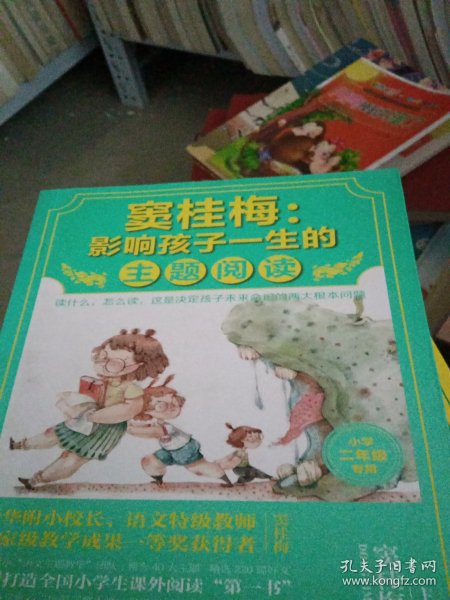 窦桂梅：影响孩子一生的主题阅读.小学二年级专用