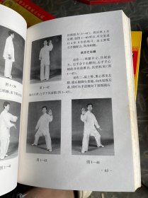 陈氏太极拳术