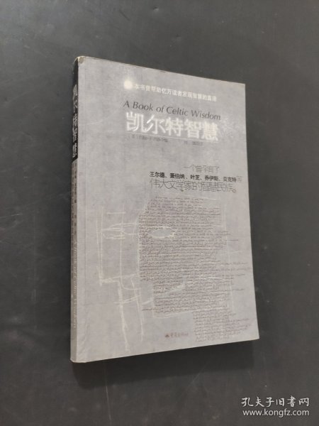 凯尔特智慧