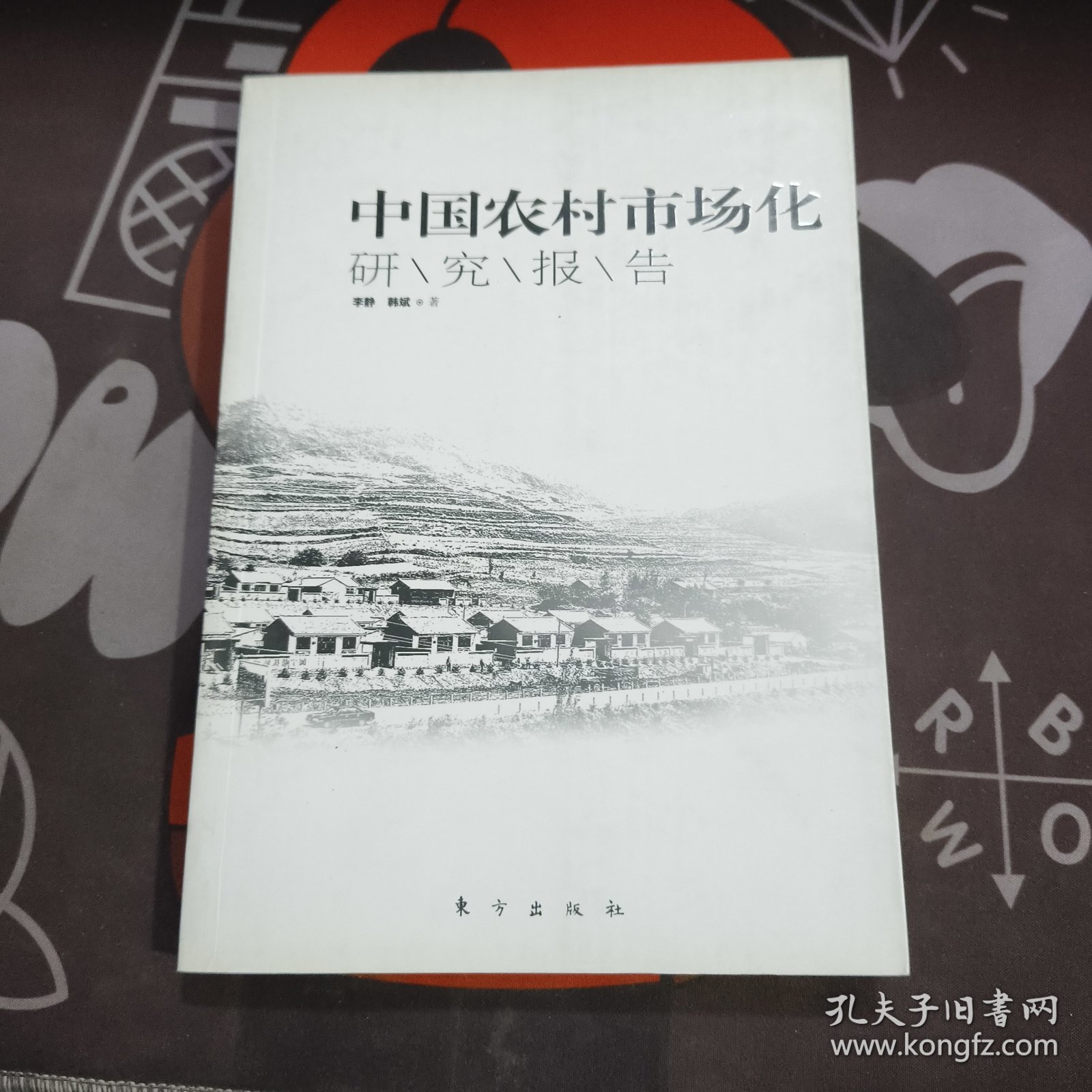中国农村市场化研究报告（2011年一版一印）