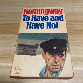 Hemingway To Have and Have Not