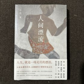 人间漂流（格非、梁文道、徐则臣、阿乙盛赞！谁的人生，不是一场无尽的漂泊。为异乡的陌生人立传）