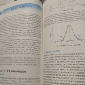 医学遗传学（第7版/本科临床/配增值）