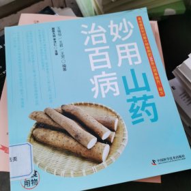 妙用山药治百病