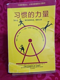 习惯的力量：为什么我们会这样生活，那样工作