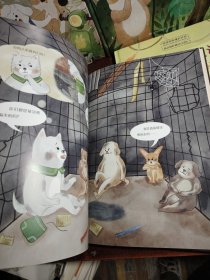 西西家族成长日记·我会保护我自己（套装4册）给孩子的安全教育 自我保护意识绘本 睡前亲子读物 和孙俪一起守护宝贝的童年