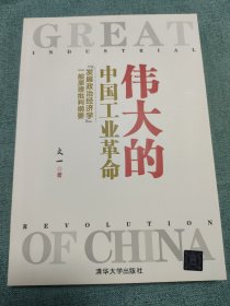 伟大的中国工业革命：“发展政治经济学”一般原理批判纲要