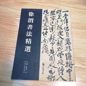 中国历代书法名家作品精选系列：徐渭书法精选（一版一印）