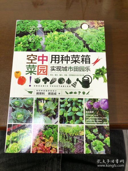 空中菜园：用种菜箱实现城市田园乐