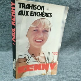 AHISON AUX ENCHERES:Paul Kenny法文小说