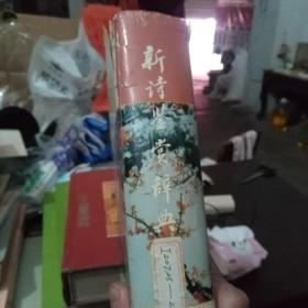 新诗鉴赏辞典