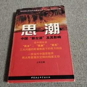 思潮：中国”新左派“及其影响