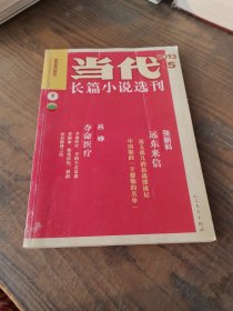 当代长篇小说选刊 2013.5