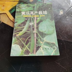 黄瓜高产栽培