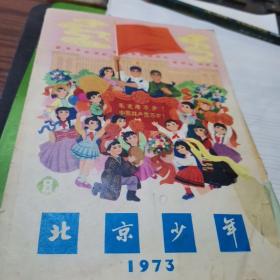 北京少年1973年8期