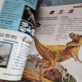 恐龙！揭开使世界巨大动物的奥秘 1