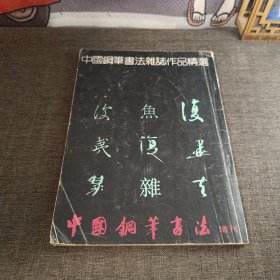 中国钢笔书法杂志作品精选