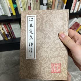 江文通集校注（平）（中国古典文学丛书）（全四册）