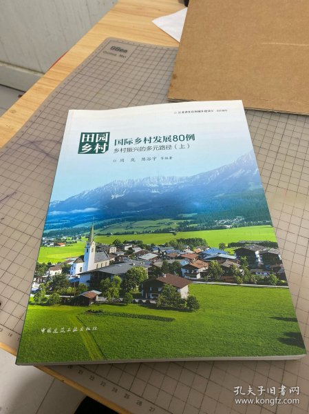 田园乡村·国际乡村发展80例：乡村振兴的多元路径（套装上下册）