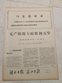 湖北日报长江日报1971年3月18日。无产阶级专政胜利万岁一一纪念巴黎公社100周年，人民日报，红旗杂志，解放军报编辑部。