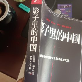 影子里的中国：即将到来的社会危机