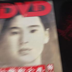 dvd导刊227-228