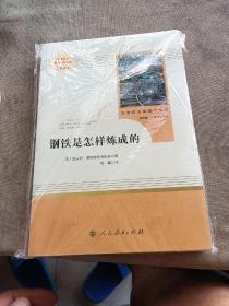 统编语文教材配套阅读 八年级下：钢铁是怎样炼成的/名著阅读课程化丛书