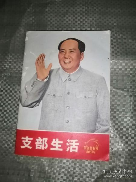 支部生活 革命样板戏画刊