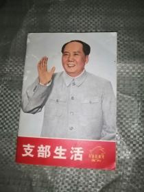 支部生活 革命样板戏画刊