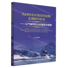 共同但有区别责任实现路径研究