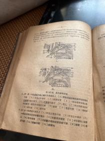 耳鼻咽喉科学（1 9 5 1年出版，本书分八大编。C架3排中）