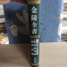 福王登极实录 金陵野钞 南渡录（金陵全书乙编史料类65 16开精装 全一册）