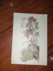 画片 水仙与天竹 陈半丁绘画 1956天津美术出版社