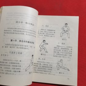 11895：秘门绝技丛书：夺命铁沙掌 器械制作 ；铁砂掌功法；……