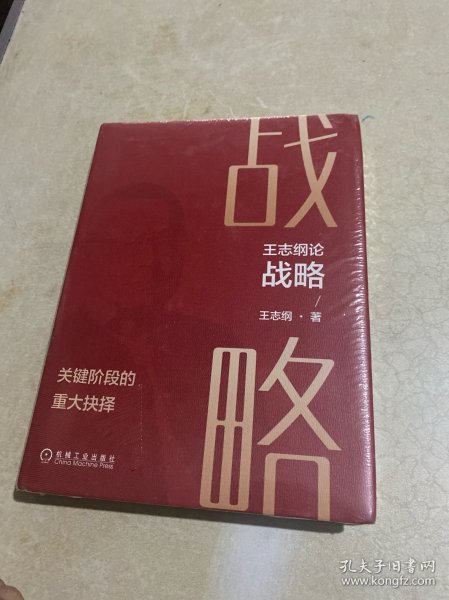 王志纲论战略:关键阶段的重大抉择