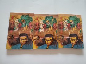 多情小子风雷剑 （上中下册）全