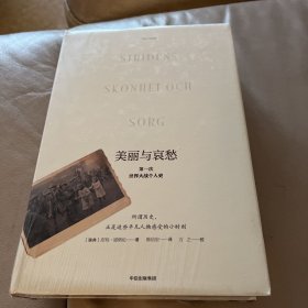 美丽与哀愁：第一次世界大战个人史