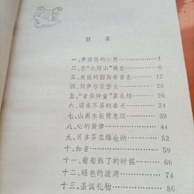 漫游音乐之国