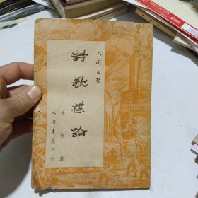 诗歌杂论23.8包邮