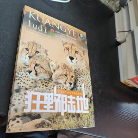 狂野陆地