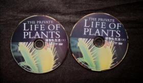 the private life of plants植物私生活dvd（2碟装）（粤语解说中文字幕）