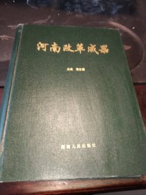 河南改革成果