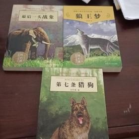 最后一头战象 第七条猎狗 狼王梦