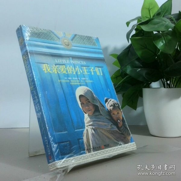 我亲爱的小王子们