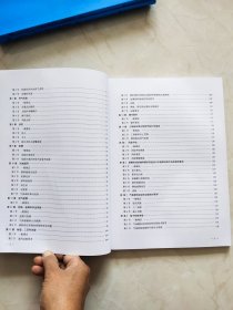 天然气燃料动力船舶规范 2017