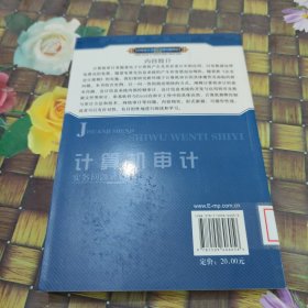 计算机审计实务问题释疑 馆藏正版无笔迹