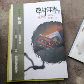 草样年华Ⅱ：后大学时代