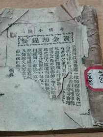 民国文明书局奇情小说《黄金劫》